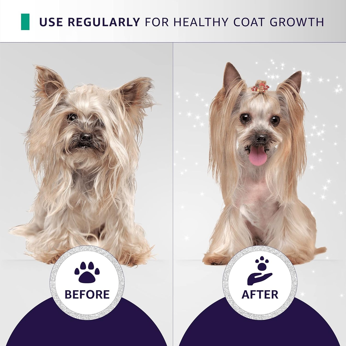 Hydra Professional Flash Thermo Active Deep Conditioner for Dogs and Cats, Suitable for All Breeds and Hair Types, Moisturizing Pet Coat Conditioner
