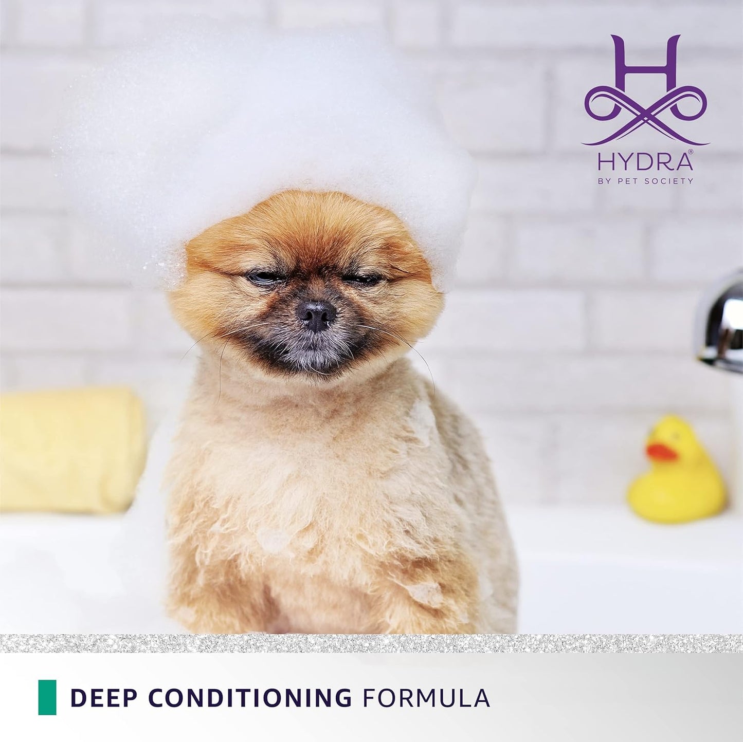Hydra Professional Flash Thermo Active Deep Conditioner for Dogs and Cats, Suitable for All Breeds and Hair Types, Moisturizing Pet Coat Conditioner